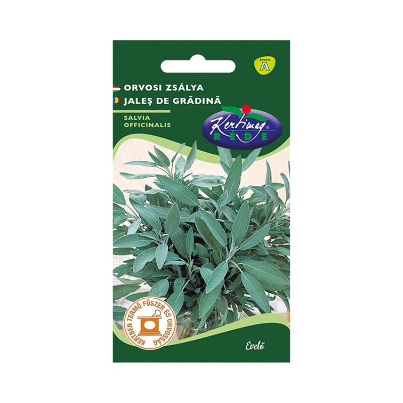 Orvosi zsálya (Salvia Officinalis) Kertimag 1g