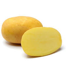 Vetőburgonya minigumò Agria (középérésű,sárga héjú, sárga húsú) - 50 szemes