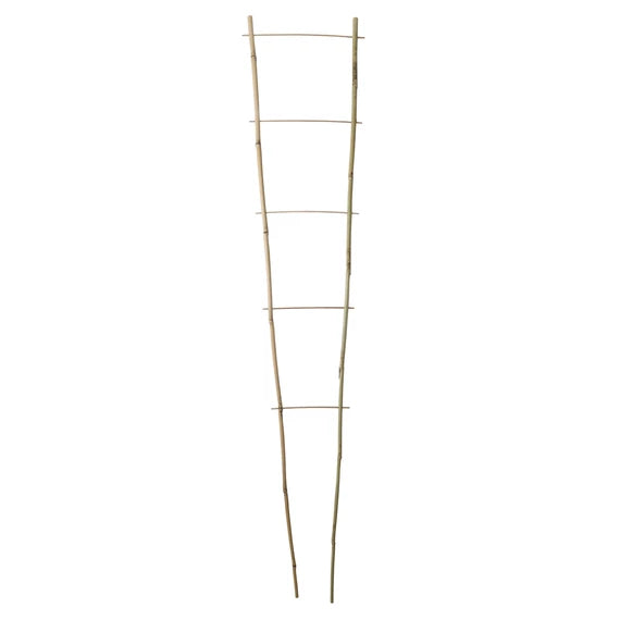 Bambusz növénylétra 150cm