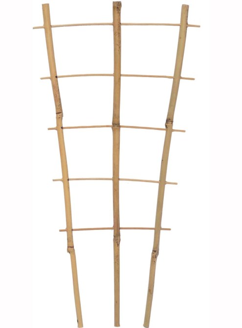 Bambusz létra