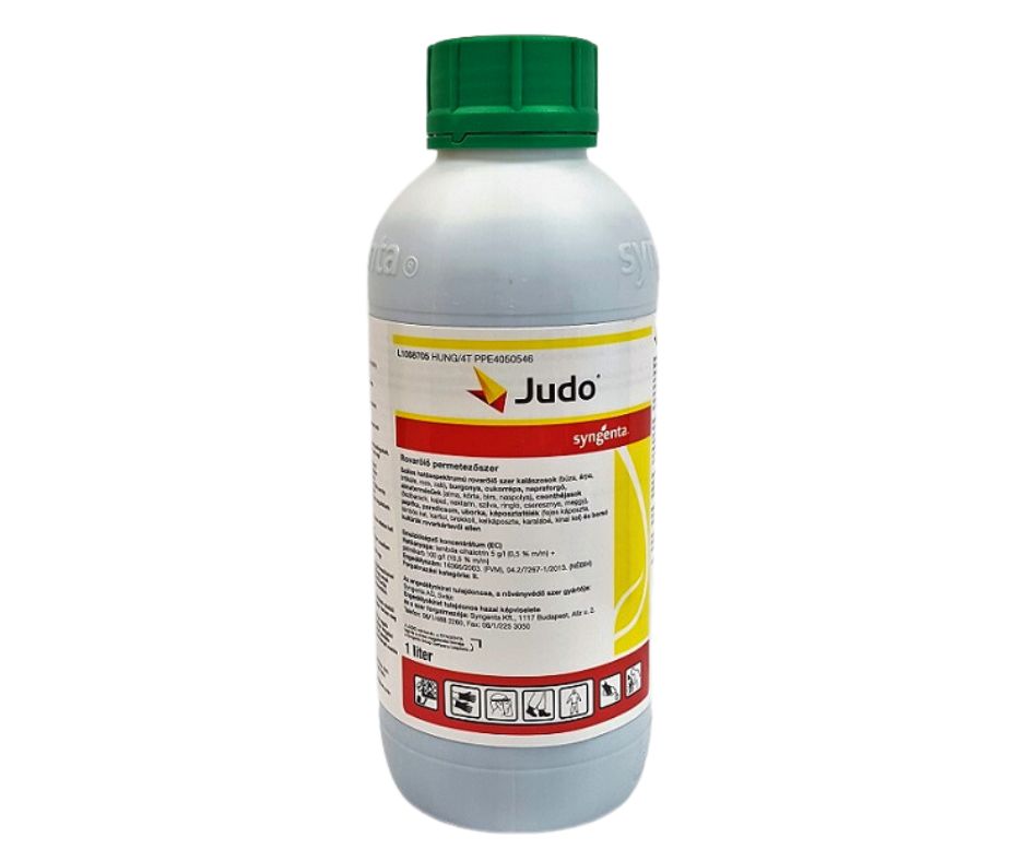 Judo 1/1