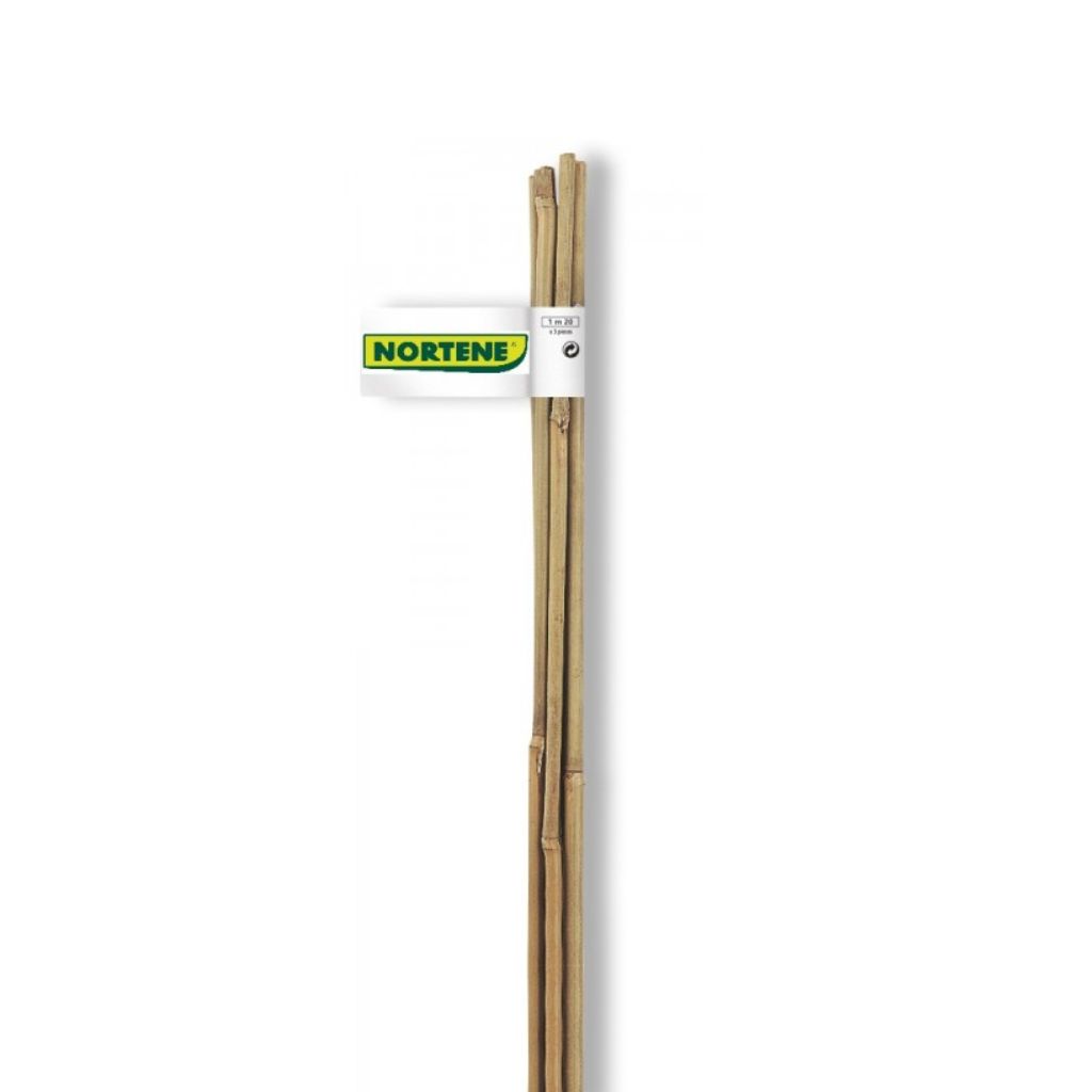 Bambusz karó 3db-os 10/12 mm X 1,2m Nortene