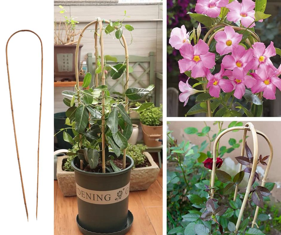 Karó-Bambusz ívelt 150 cm 3 db-os
