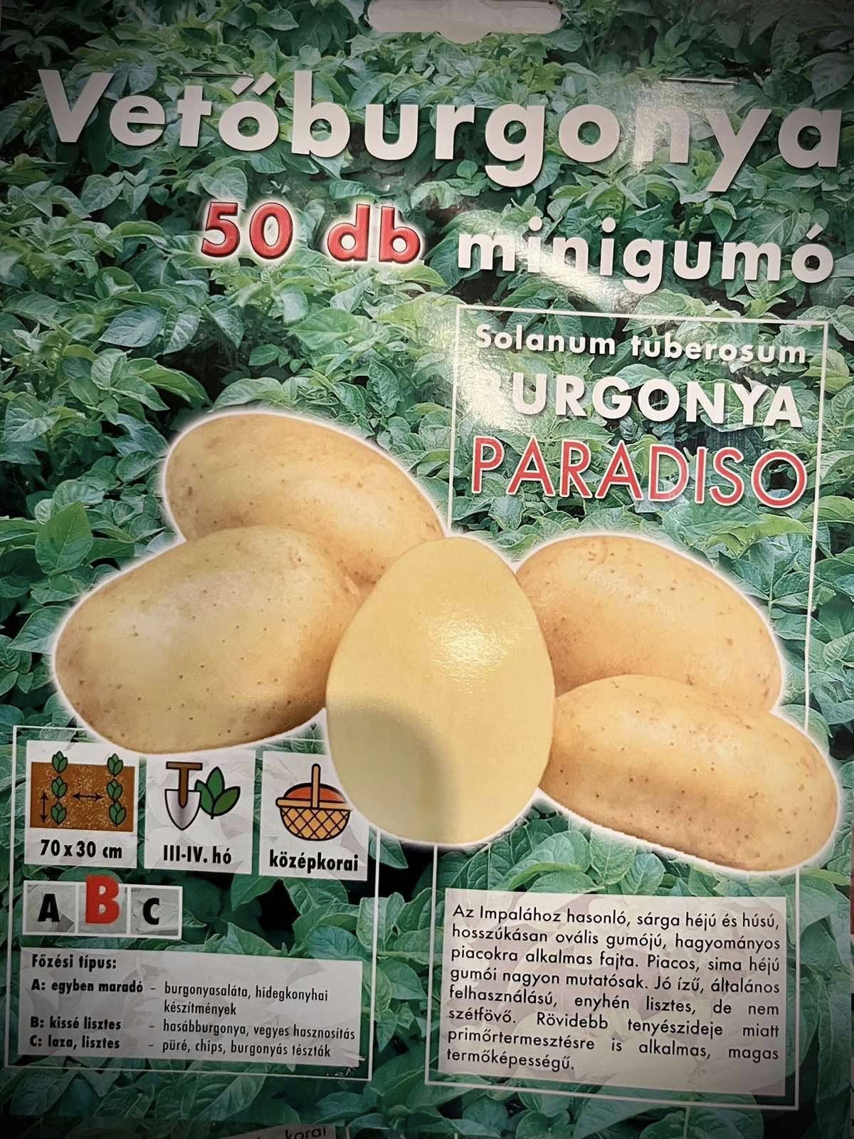 Vetőburgonya PARADISO 50 db-os