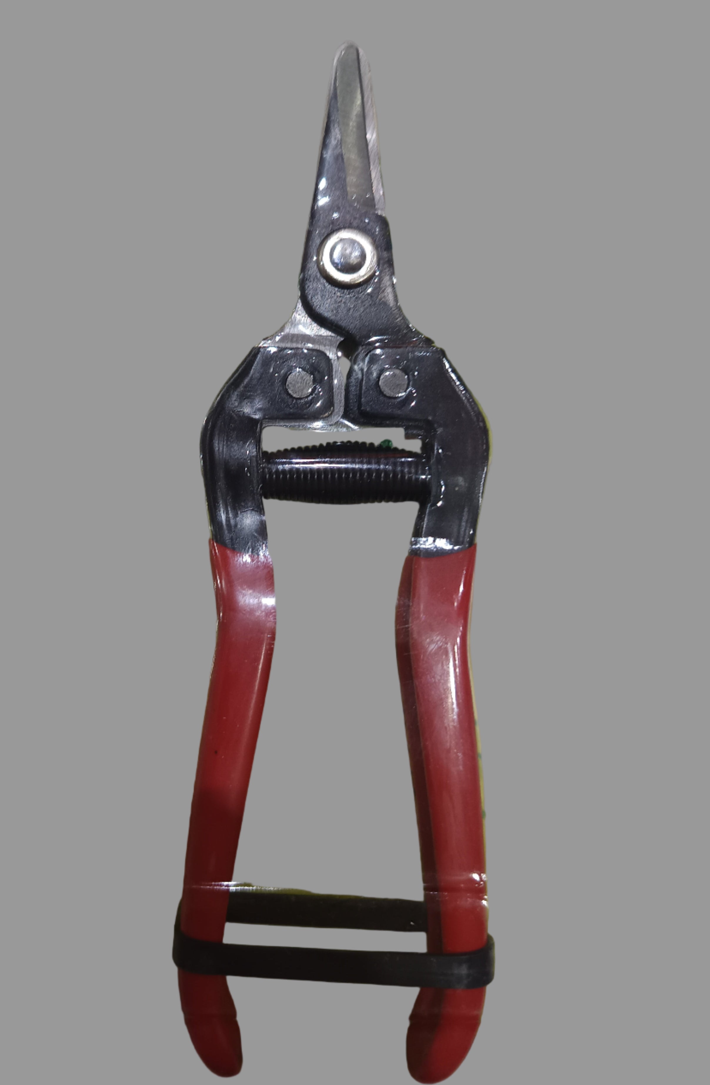 Szüretelő olló Green power