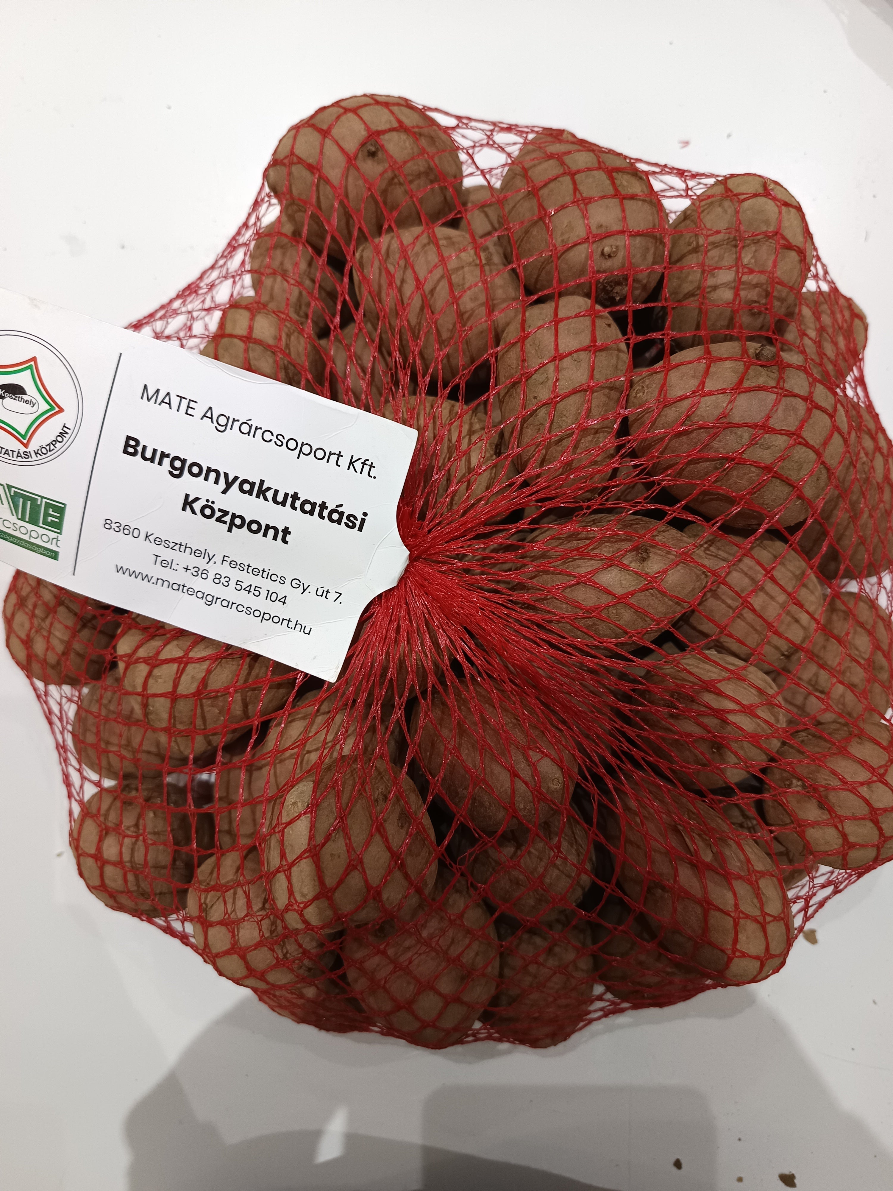 Katica vetőburgonya/ minigumó (50szemes) - piros héjú, sárga húsú