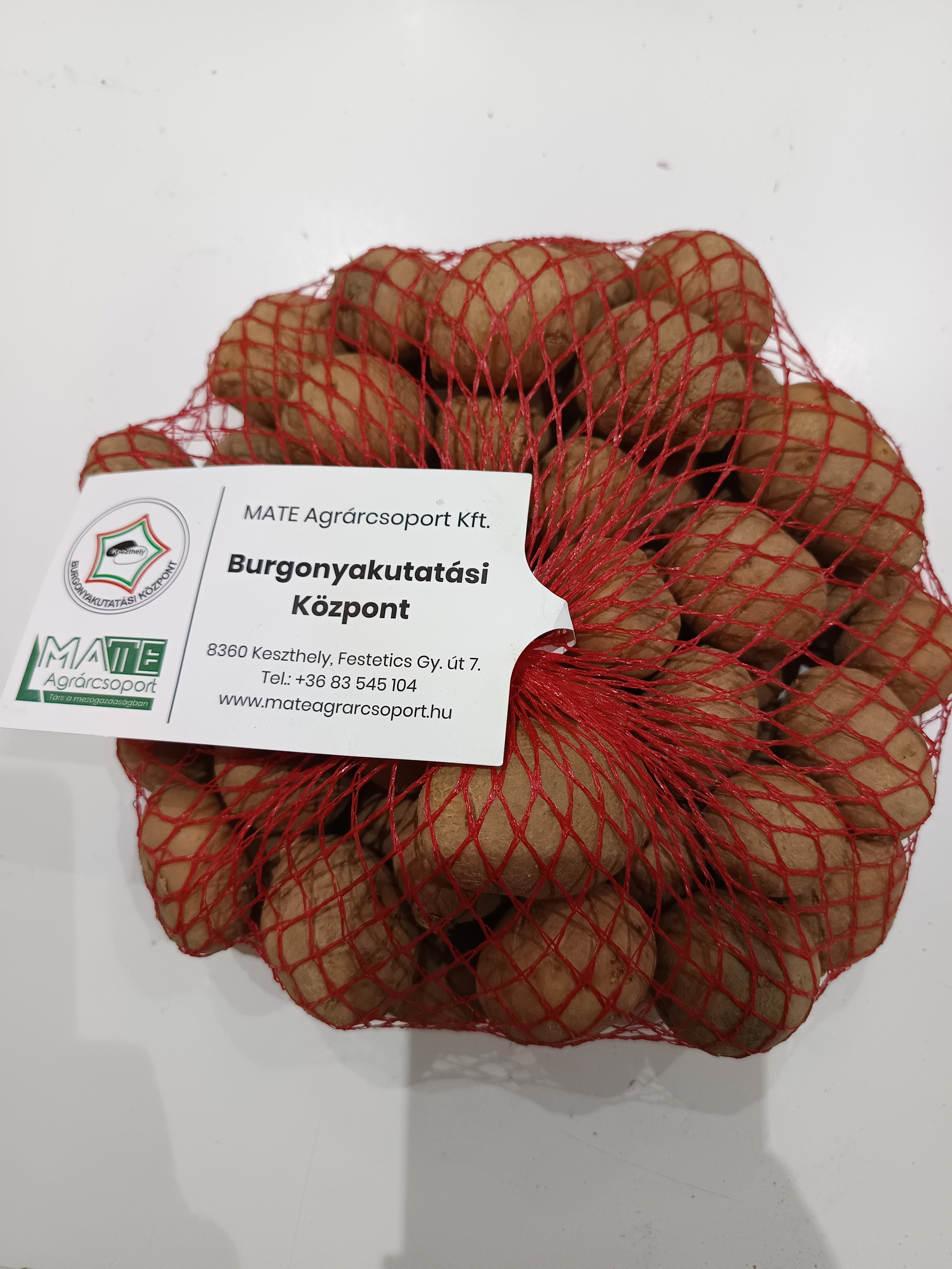 Balatoni sárga vetőburgonya 50szemes