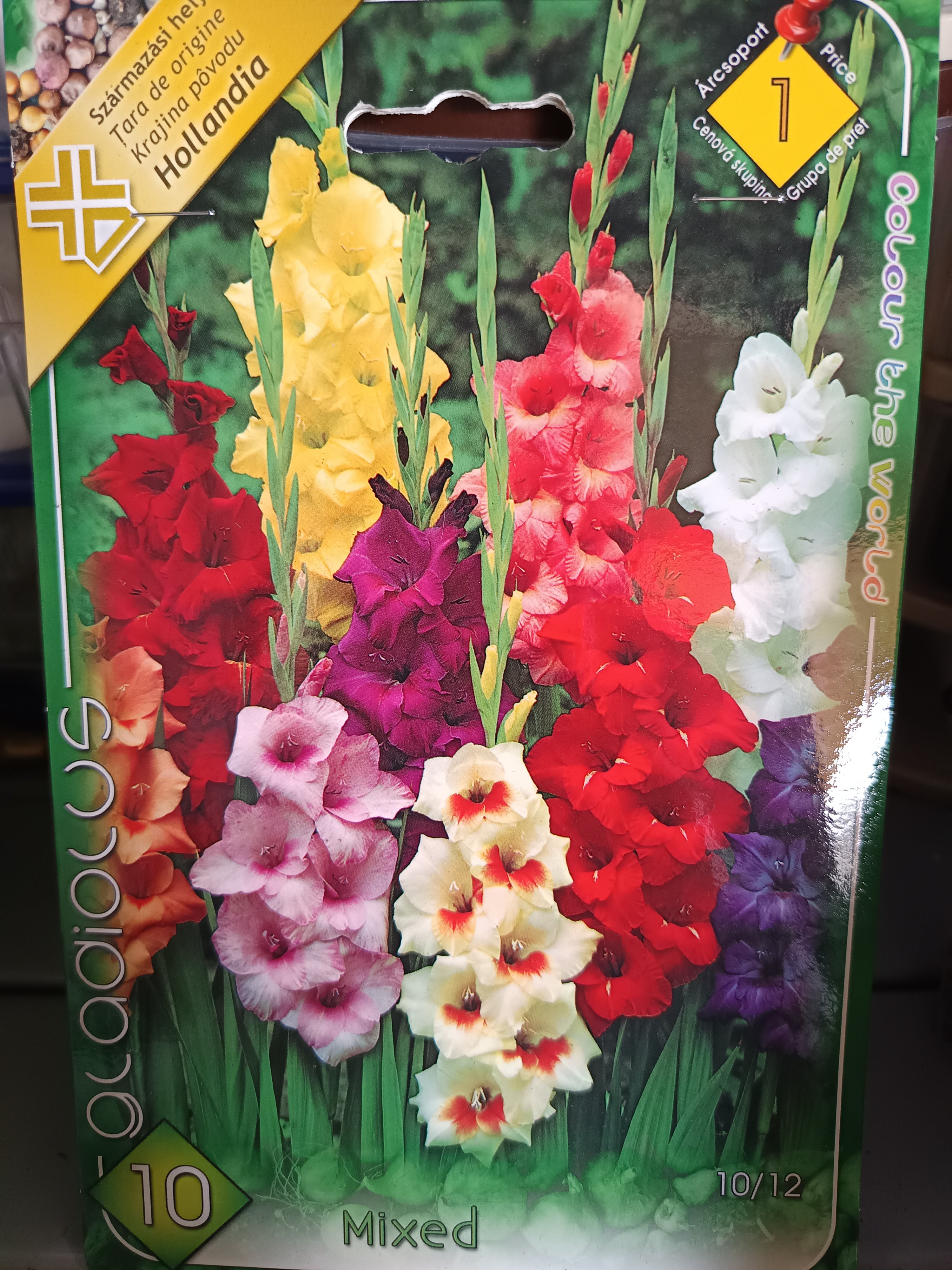 Virághagyma Kardvirág Mixed 10db