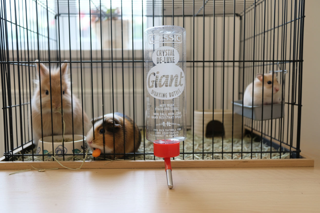 Giant házi kiskedvenc itató, műanyag, ketrecre szerelhető, golyós szopókával 1100ml