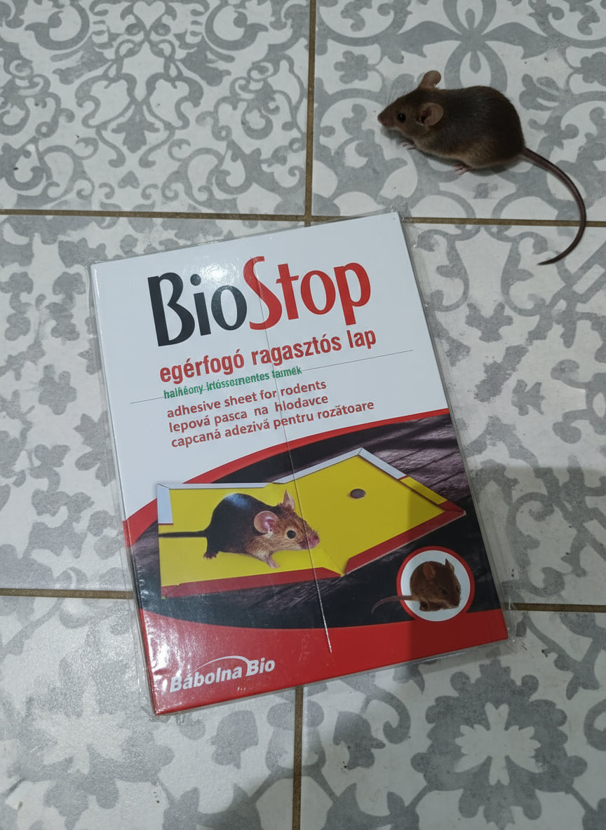 Egérfogó ragasztós lap Biostop