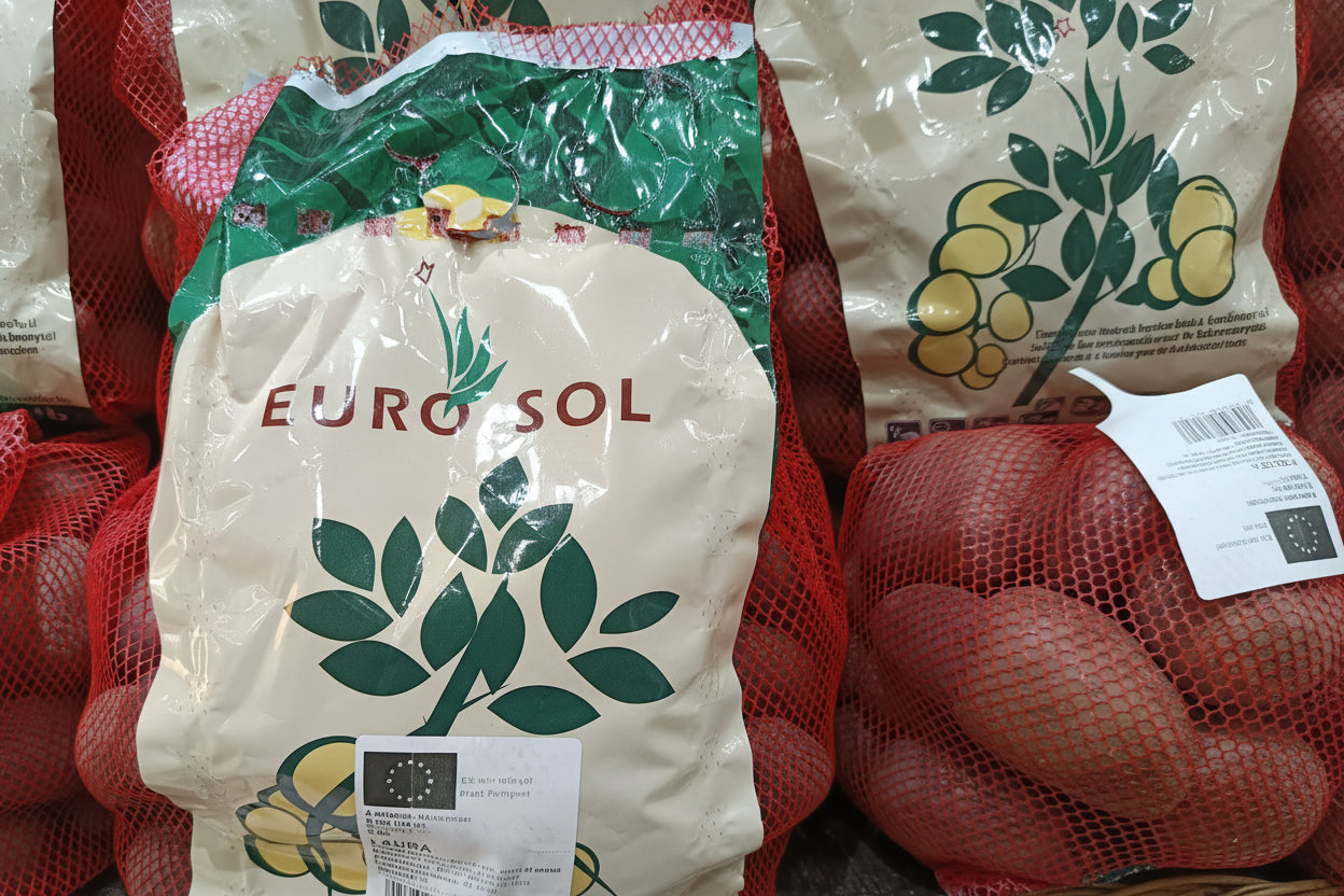 Vetőburgonya/ Laura 50szemes
