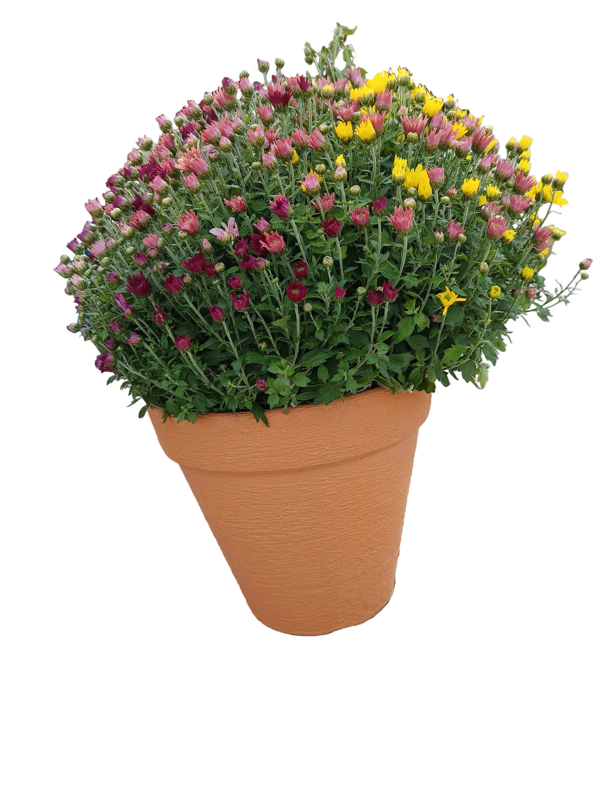 Virágcserép terrakotta kőmintás (műanyag)