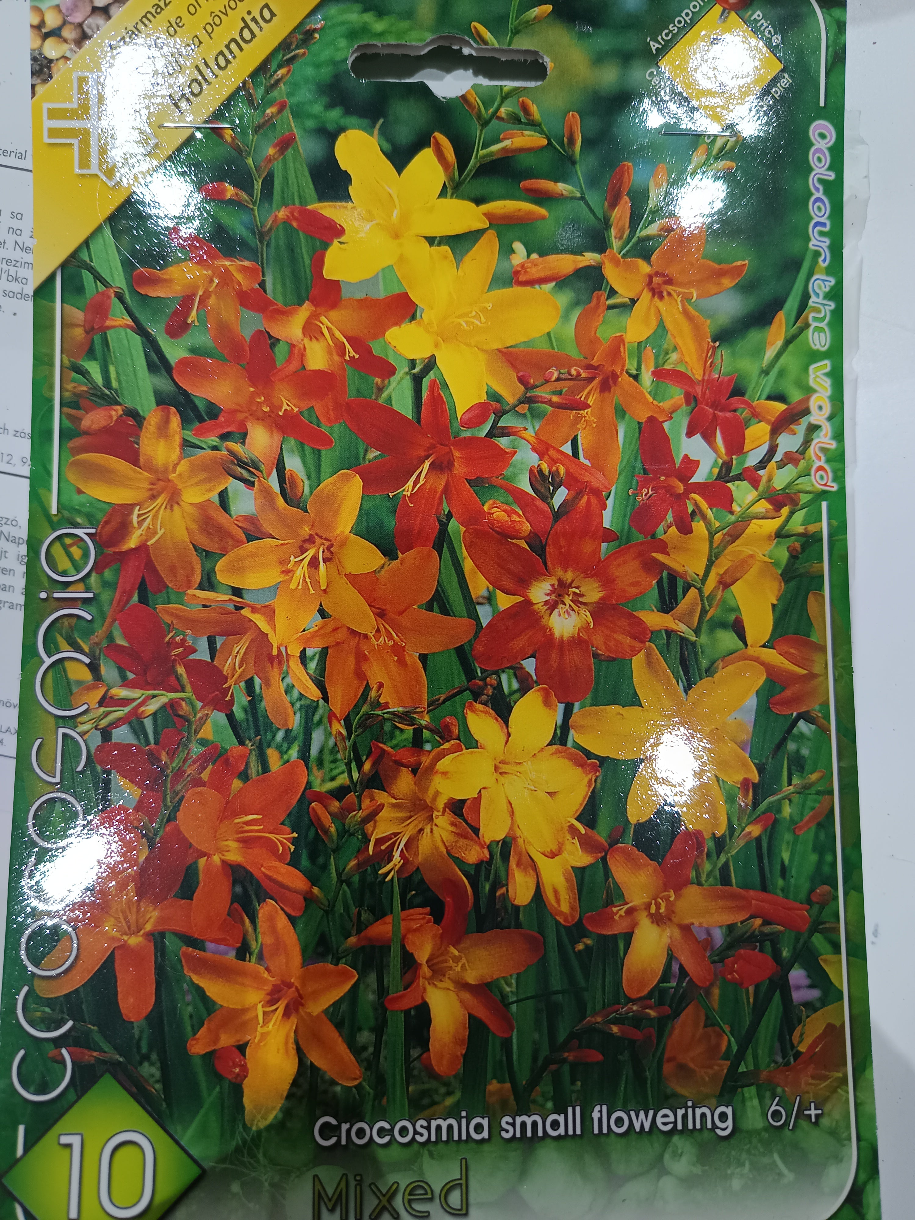 Sárkányfű Crocosmia small flowering Mixed
