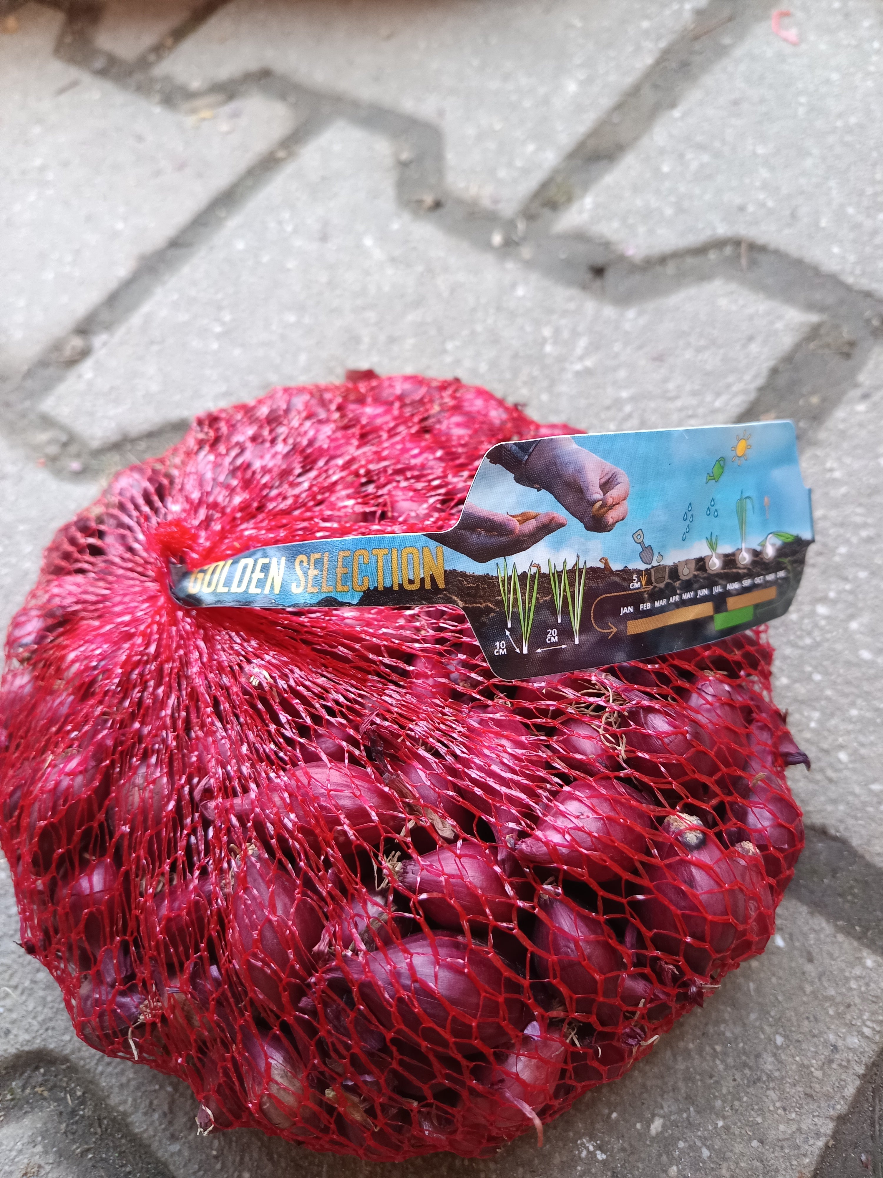 dughagyma KARMEN 500g 14/19