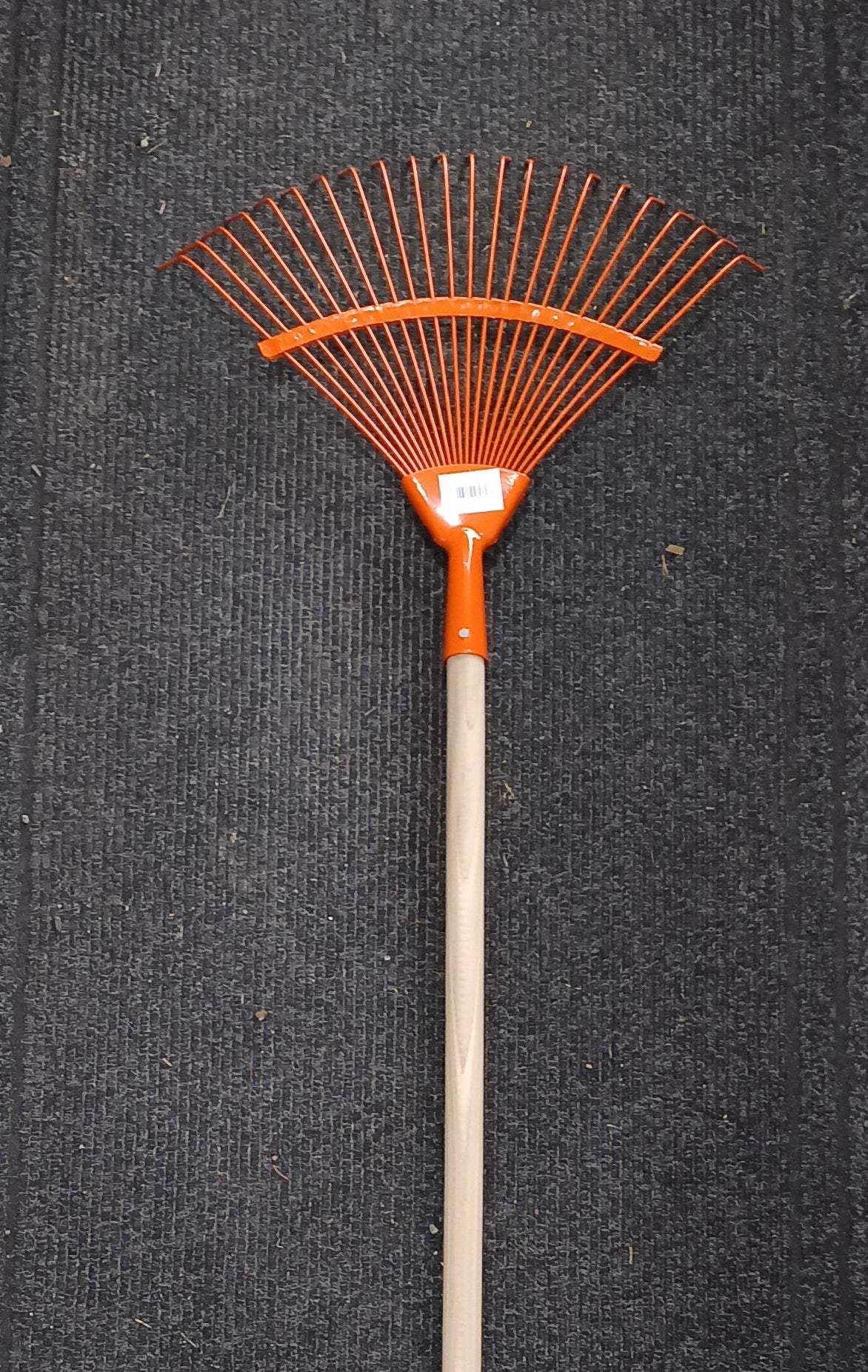 Lombseprű nyelezett pálcás