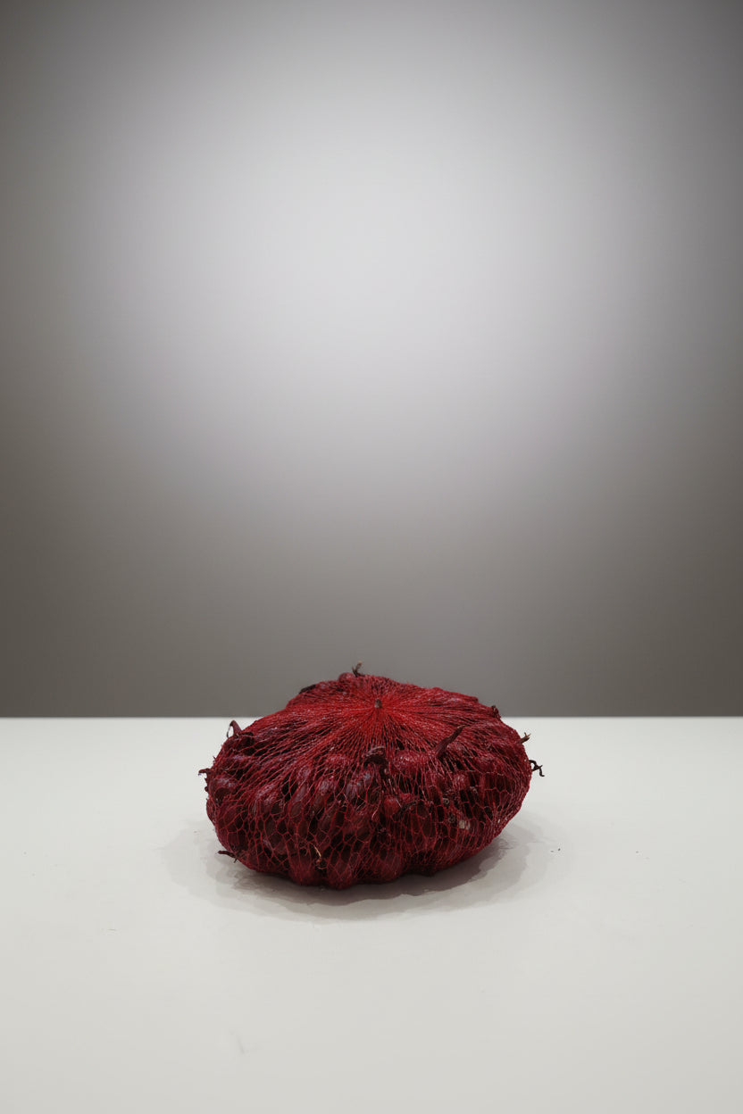 Dughagyma lila őszi  500g RED COMRED