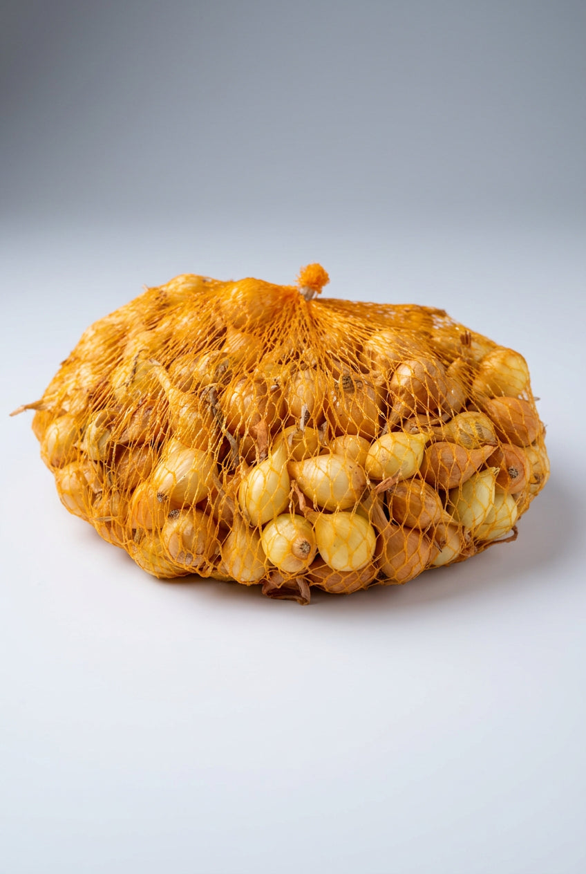 Őszi dughagyma STUTTGARTER RIESEN 500g