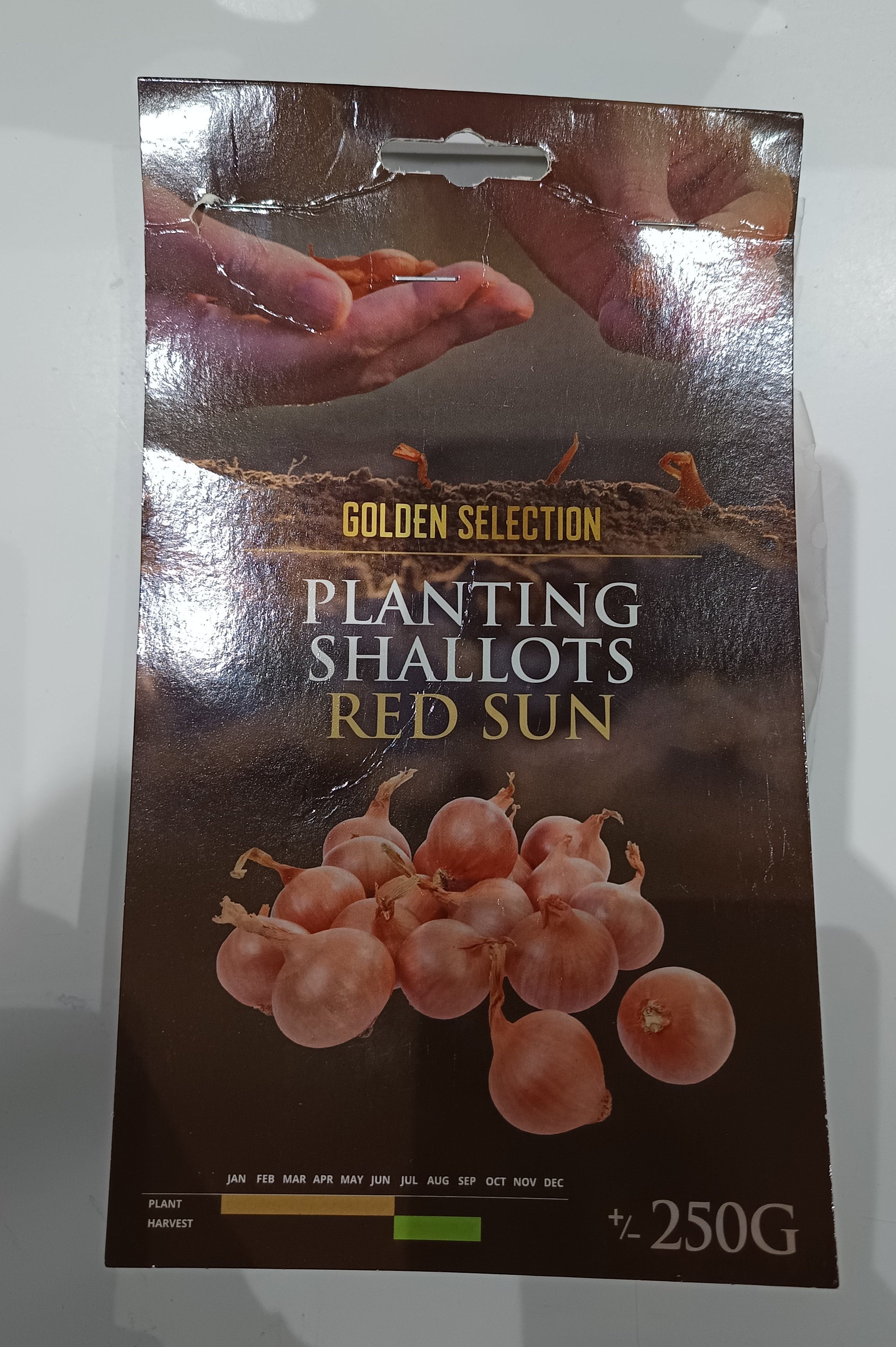 Salotta hagyma 250g