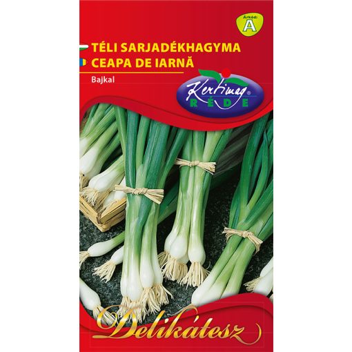 Téli sarjadékhagyma Bajkál