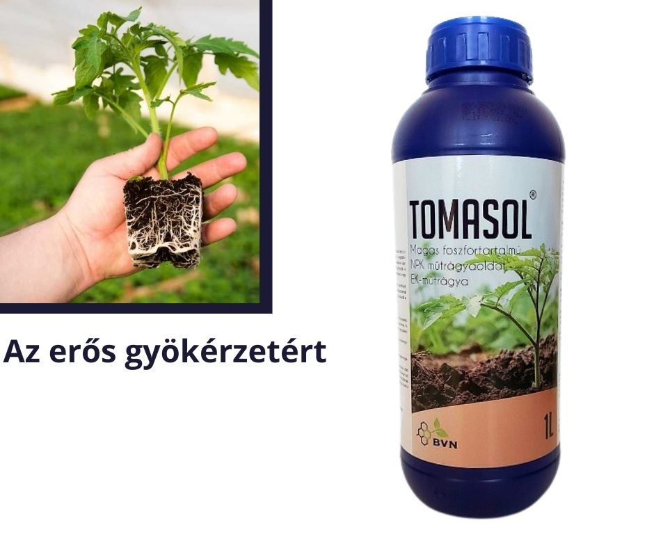 Tomasol EK 1/1